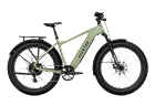 Electric Bikes